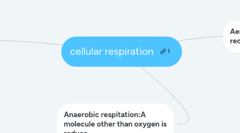 Mind Map: cellular respiration