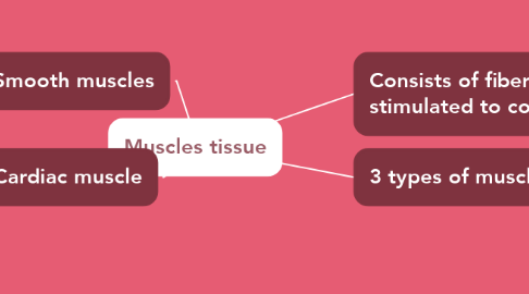 Mind Map: Muscles tissue