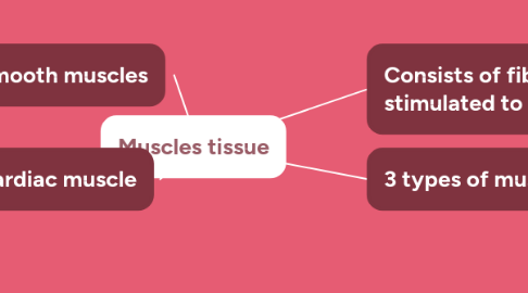 Mind Map: Muscles tissue