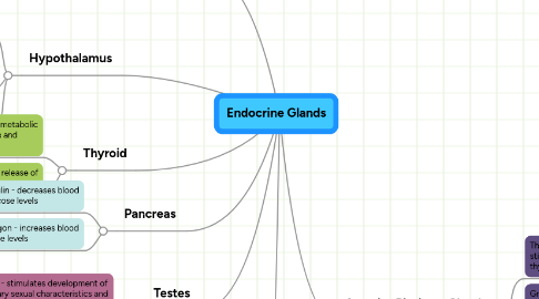 Mind Map: Endocrine Glands