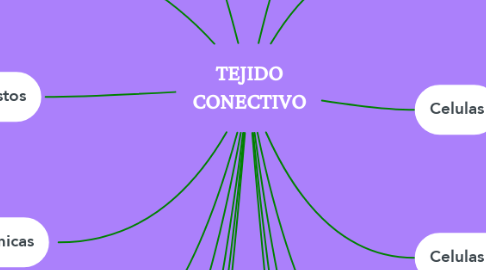 Mind Map: TEJIDO CONECTIVO