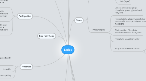 Mind Map: Lipids