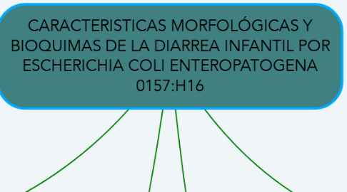Mind Map: CARACTERISTICAS MORFOLÓGICAS Y BIOQUIMAS DE LA DIARREA INFANTIL POR ESCHERICHIA COLI ENTEROPATOGENA 0157:H16