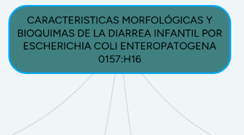 Mind Map: CARACTERISTICAS MORFOLÓGICAS Y BIOQUIMAS DE LA DIARREA INFANTIL POR ESCHERICHIA COLI ENTEROPATOGENA 0157:H16