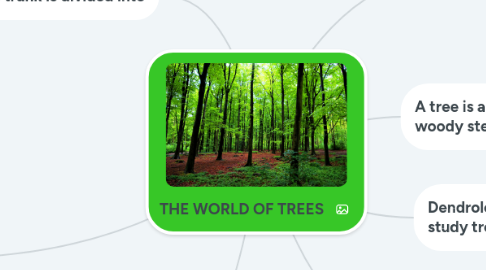 Mind Map: THE WORLD OF TREES