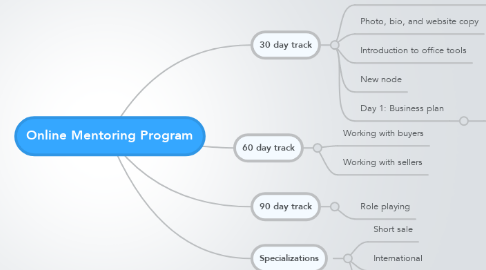 Mind Map: Online Mentoring Program