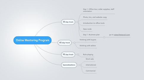 Mind Map: Online Mentoring Program