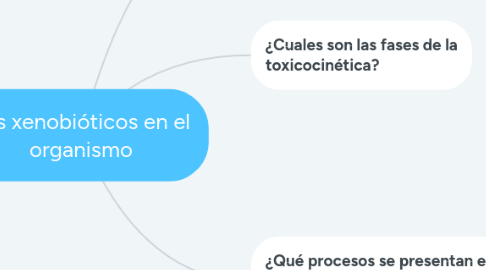 Mind Map: Los xenobióticos en el organismo