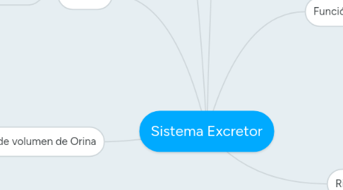 Mind Map: Sistema Excretor