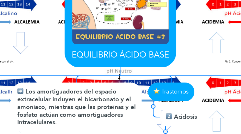 Mind Map: EQUILIBRIO ÁCIDO BASE