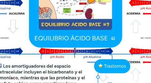 Mind Map: EQUILIBRIO ÁCIDO BASE