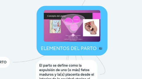 Mind Map: ELEMENTOS DEL PARTO