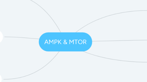 Mind Map: AMPK & MTOR