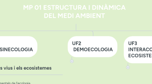 Mind Map: MP 01 ESTRUCTURA I DINÀMICA DEL MEDI AMBIENT