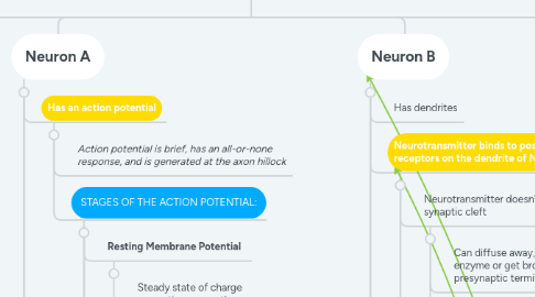Mind Map: Neural Communication
