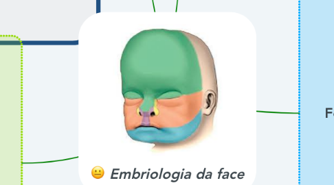 Mind Map: Embriologia da face