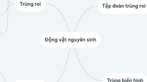 Mind Map: Động vật nguyên sinh