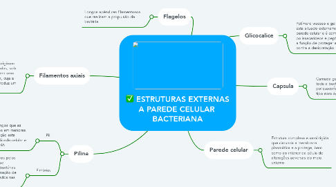 Mind Map: ESTRUTURAS EXTERNAS A PAREDE CELULAR  BACTERIANA