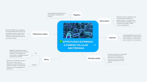 Mind Map: ESTRUTURAS EXTERNAS A PAREDE CELULAR BACTERIANA