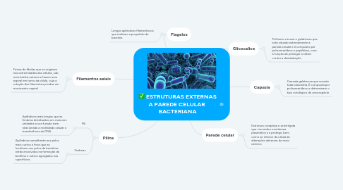 Mind Map: ESTRUTURAS EXTERNAS A PAREDE CELULAR  BACTERIANA