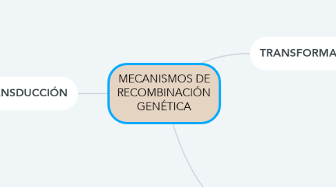 Mind Map: MECANISMOS DE RECOMBINACIÓN GENÉTICA