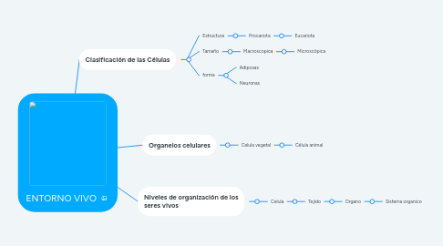 Mind Map: ENTORNO VIVO