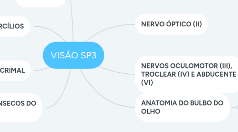 Mind Map: VISÃO SP3