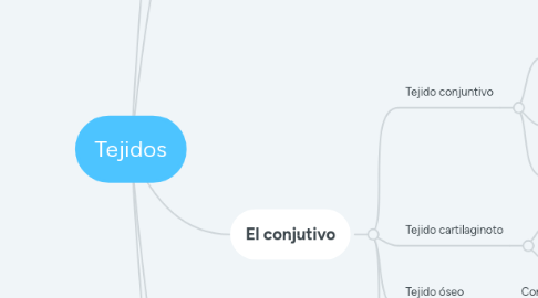 Mind Map: Tejidos