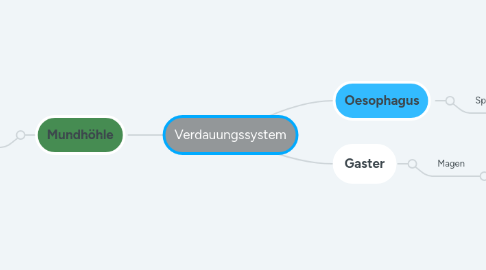 Mind Map: Verdauungssystem