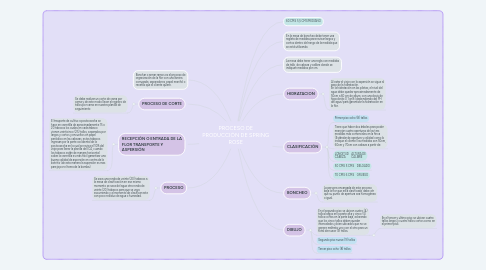 Mind Map: PROCESO DE PRODUCCIÓN DE SPRING ROSE