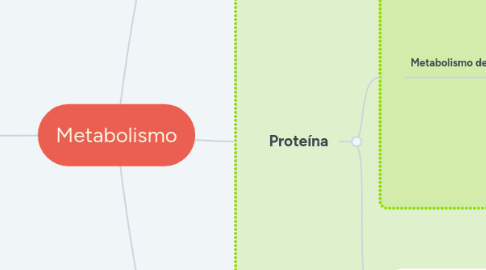 Mind Map: Metabolismo