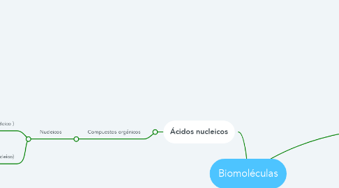 Mind Map: Biomoléculas