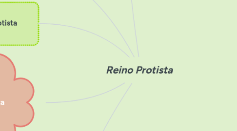 Mind Map: Reino Protista