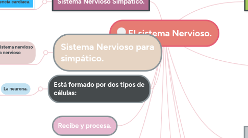 Mind Map: El sistema Nervioso.