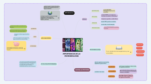 Mind Map: IMPORTANCIA DE LA MICROBIOLOGÍA