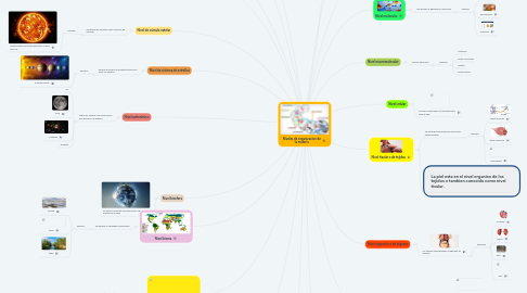 Mind Map: Niveles de organizacion de la materia