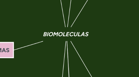 Mind Map: BIOMOLECULAS