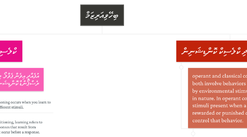 Mind Map: ބިހޭވިއަރިޒަމް