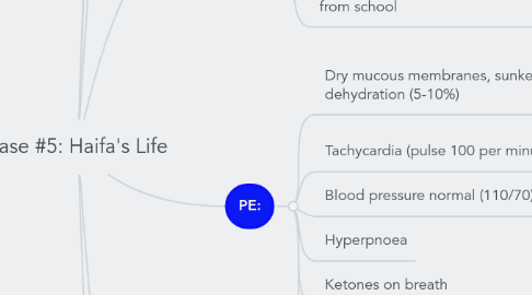 Mind Map: Case #5: Haifa's Life