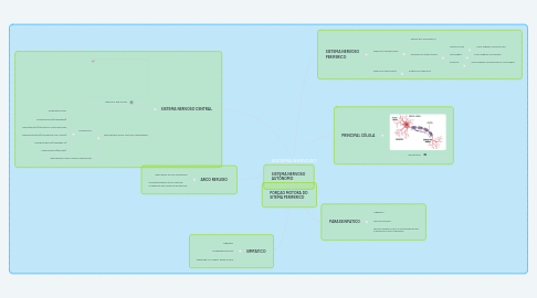 Mind Map: SISTEMA NERVOSO