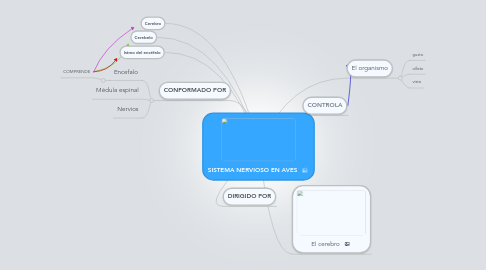 Mind Map: SISTEMA NERVIOSO EN AVES