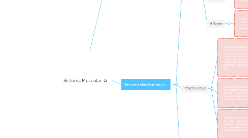 Mind Map: Sistema Muscular