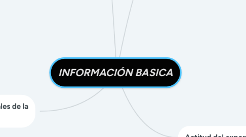 Mind Map: INFORMACIÓN BASICA
