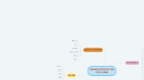 Mind Map: JERARQUITZACIÓ DEL COS HUMÀ
