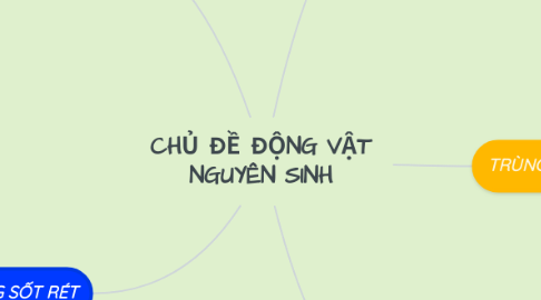 Mind Map: CHỦ ĐỀ ĐỘNG VẬT NGUYÊN SINH