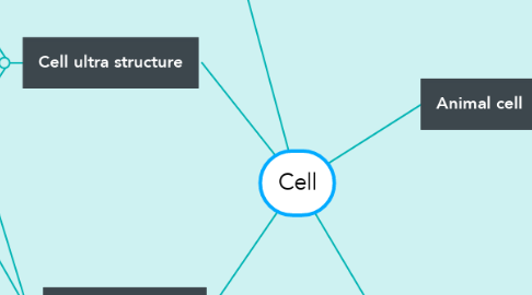 Mind Map: Cell
