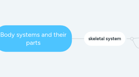 Mind Map: Body systems and their parts