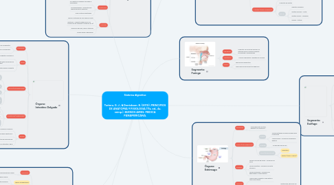 Mind Map: Sistema digestivo Tortora, G. J., & Derrickson, B. (2010). PRINCIPIOS DE ANATOMIA Y FISIOLOGIA (11a. ed., 4a. reimp.). BUENOS AIRES: MEDICA PANAMERICANA.