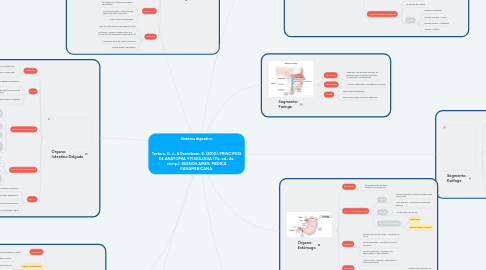 Mind Map: Sistema digestivo   Tortora, G. J., & Derrickson, B. (2010). PRINCIPIOS DE ANATOMIA Y FISIOLOGIA (11a. ed., 4a. reimp.). BUENOS AIRES: MEDICA PANAMERICANA.