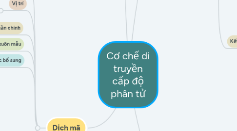 Mind Map: Cơ chế di truyền cấp độ phân tử